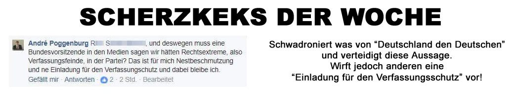 AfD Zerstörer aus dem Höcke-Umfeld