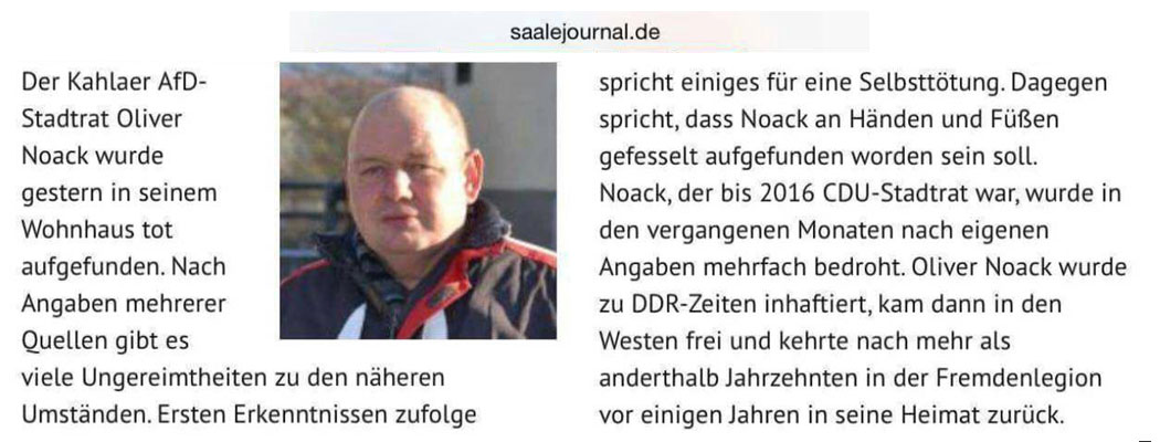 Screenshot saalejournal.de