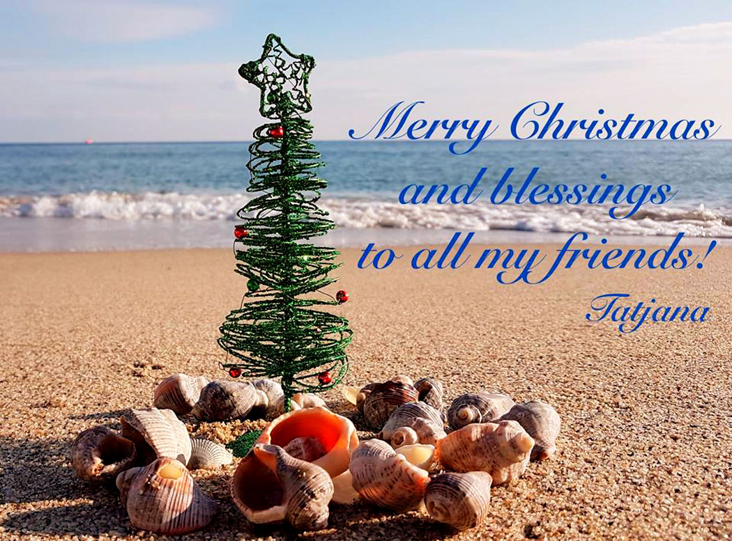 Frohe Weihnachten! - Merry Christmas!