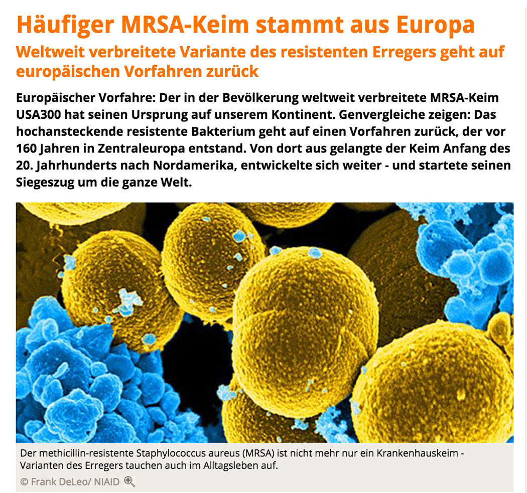 Häufiger MRSA-Keim stammt aus Europa