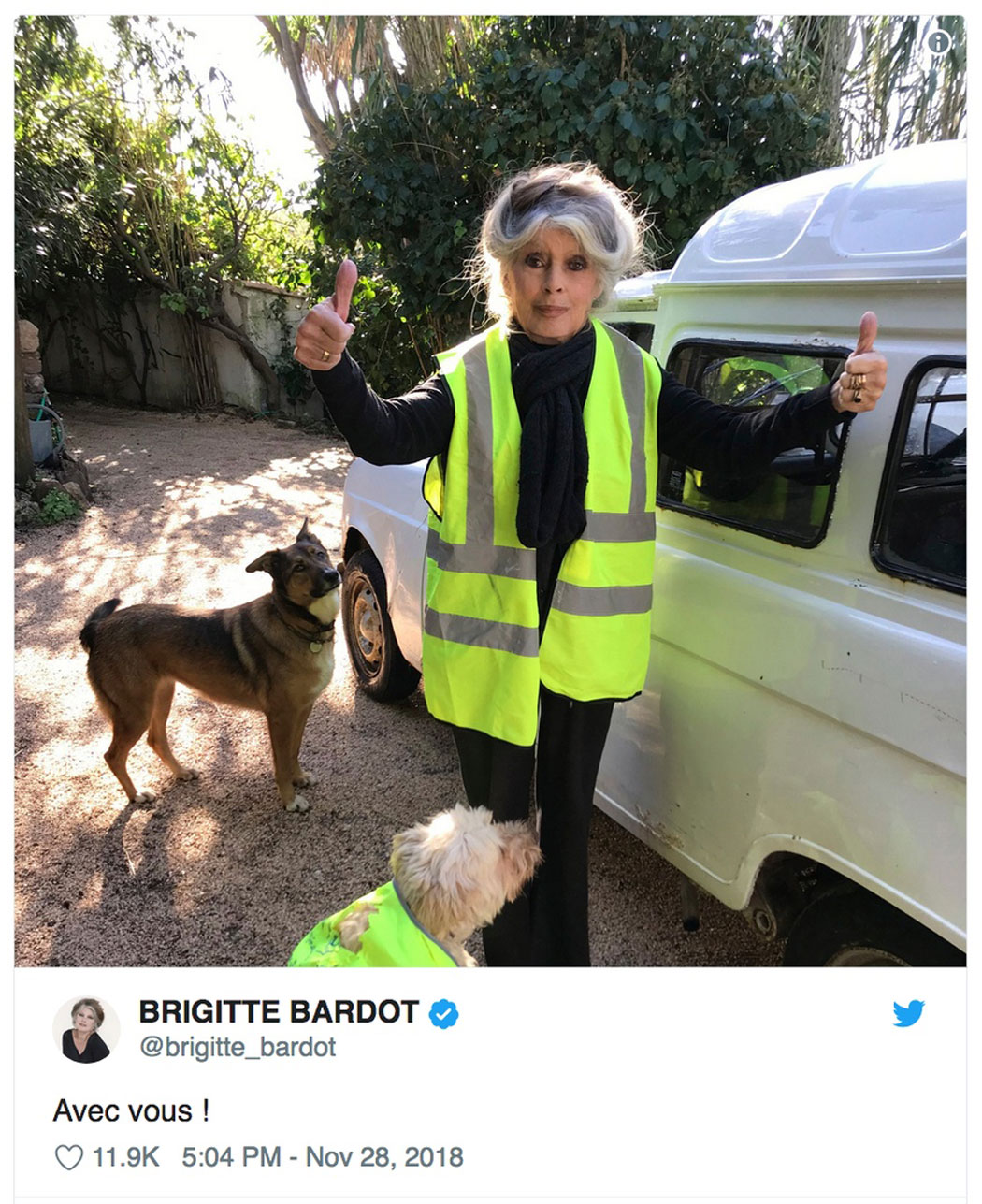 Brigitte Bardot unterstützt #GiletsJaunes