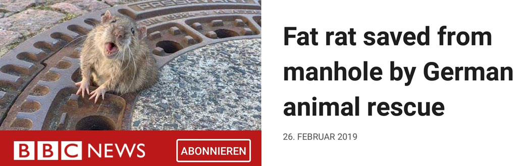 Farcebook schlägt vor
