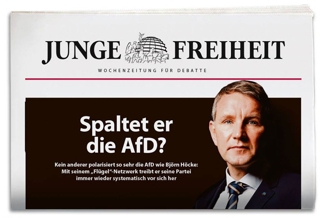 Spaltet er die AfD?