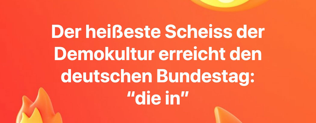 Klima-Aktivisten stellen sich im Bundestag tot