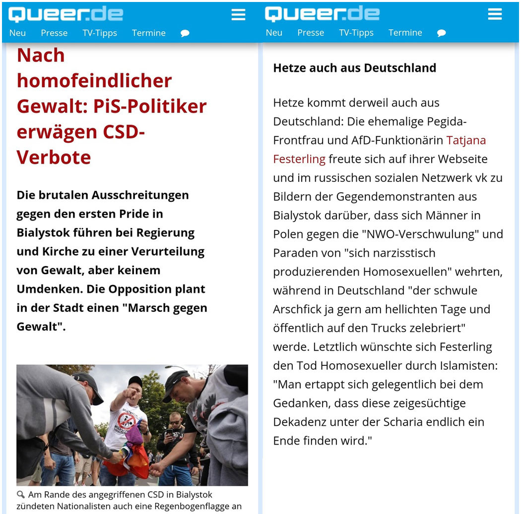 Nach homofeindlicher Gewalt: PiS-Politiker erwägen CSD-Verbote