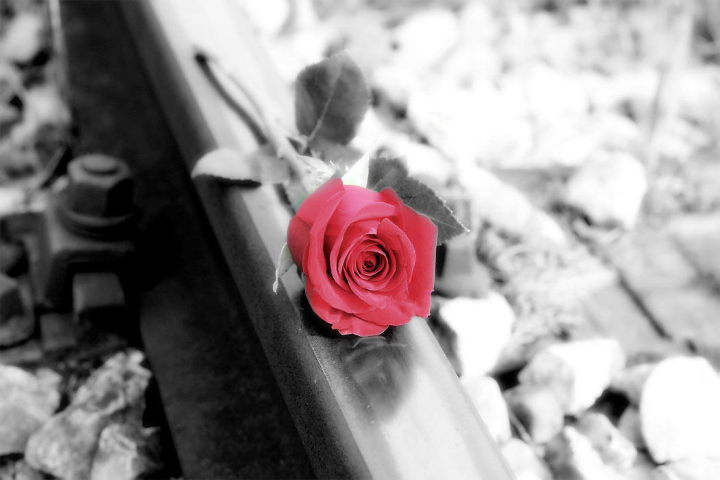 RIP kleiner Mann (Oskar)