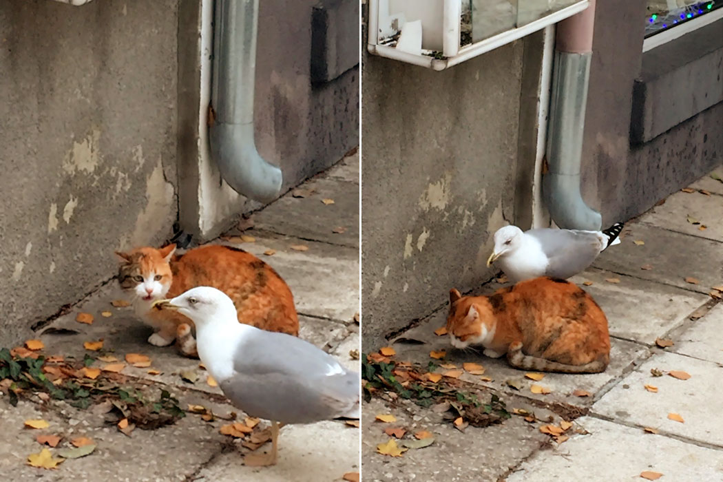 Ziemlich beste Freunde. Heute in meiner Stadt.