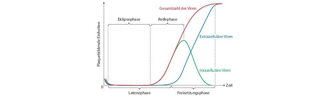 #Latenz